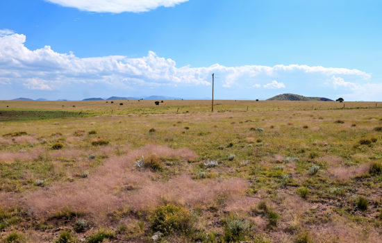 Make this 1 Acre in Apache, AZ  Just Steps away from Concho Lake Yours for Only $129 a Month!