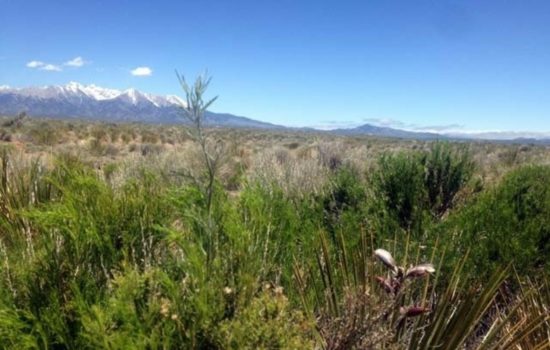 Escape to Paradise: Build Your Dream Home on this Stunning 4.94 Acre Lot in Blanca, CO
