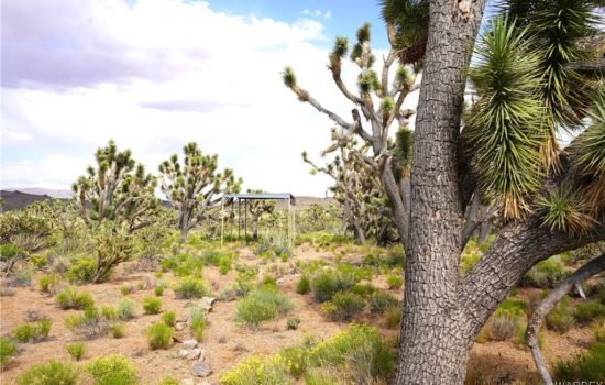 Exploring Real Estate Opportunities in Dolan Springs, Arizona!
