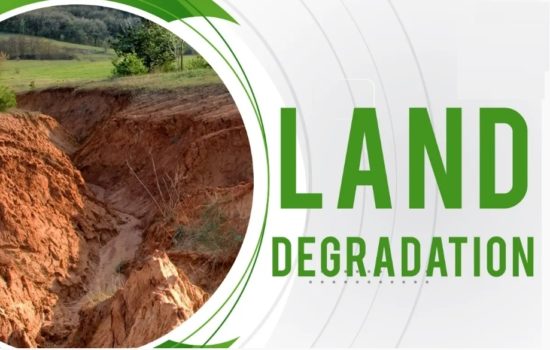 Land Degradation: Causes, Effects, and Solutions