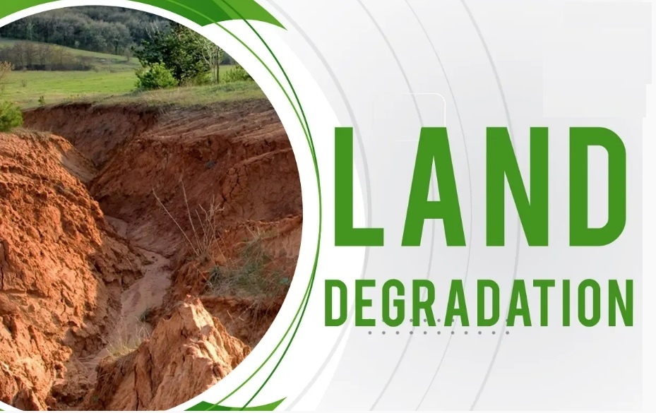 Land Degradation: Causes, Effects, and Solutions