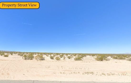 Desert Oddity: 0.25 Acres of Quirk on Mesquite Springs Rd, Twentynine Palms, CA!