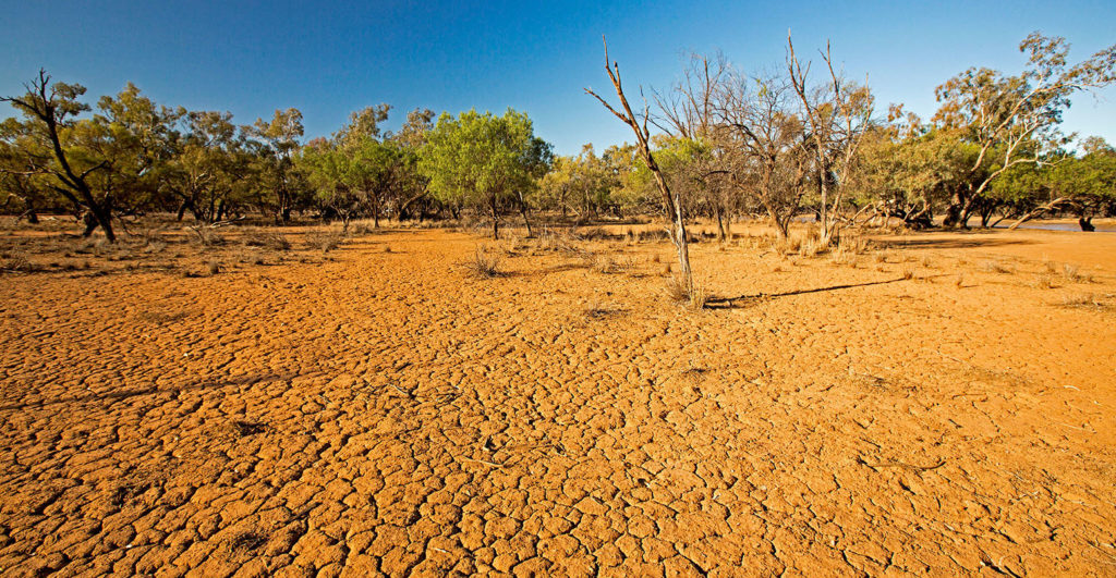 The Impact of Climate Change on Land Resources