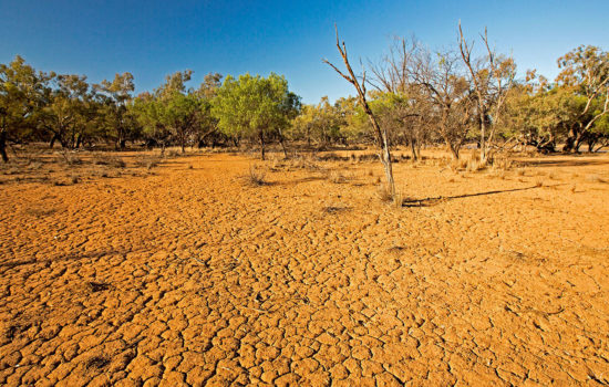 The Impact of Climate Change on Land Resources