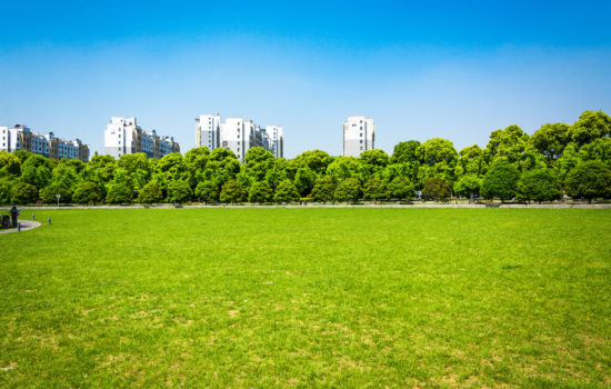 How to Evaluate Vacant Land for Investment or Development