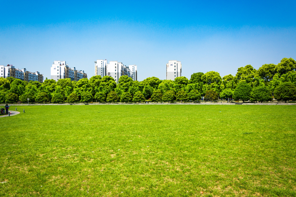 How to Evaluate Vacant Land for Investment or Development