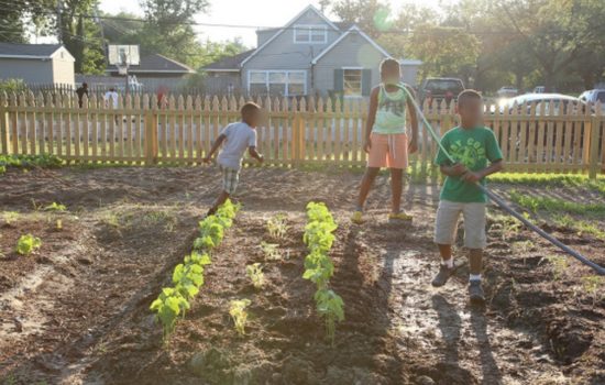 Transforming Vacant Land: Innovative Ideas for Usage in the USA