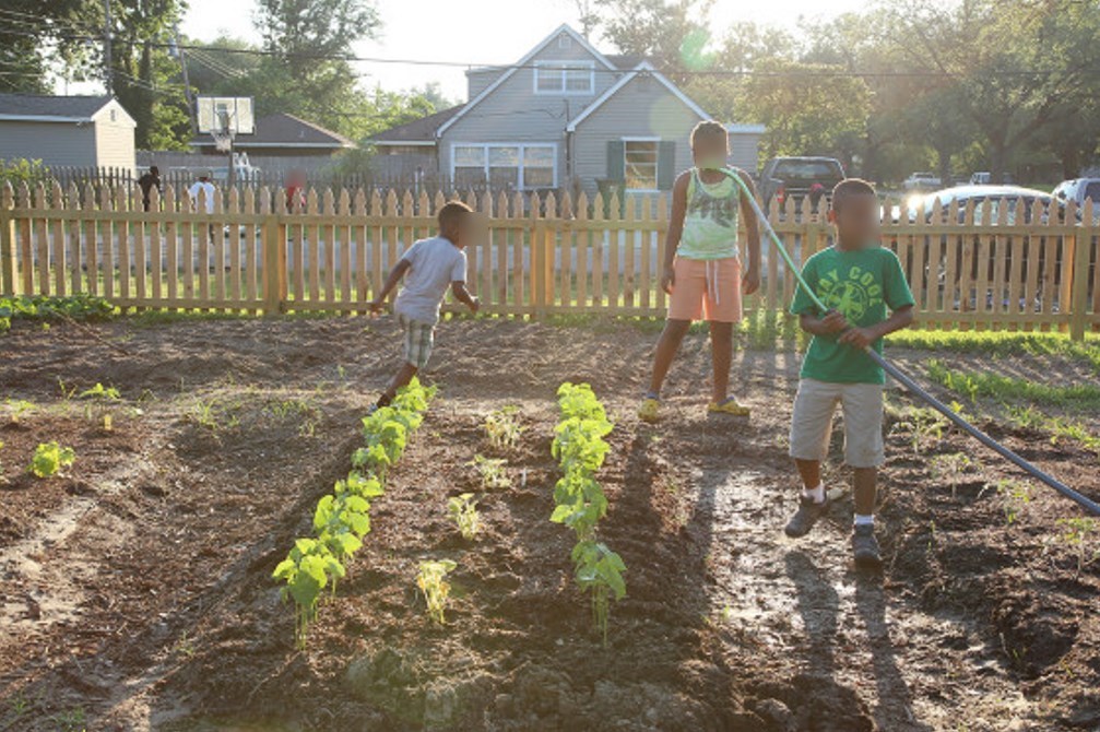 Transforming Vacant Land: Innovative Ideas for Usage in the USA